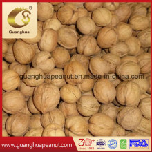 Hot Sale and New Crop Walnut in Shell
